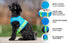 Canada Pooch Chill Seaker Reflective and Cooling Dog Harness