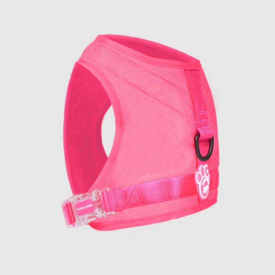 Canada Pooch Chill Seaker Reflective and Cooling Dog Harness