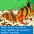 API Bottom Feeder Freeze-Dried Shrimp Pellets Fish Food with Squid - 7.9 Oz