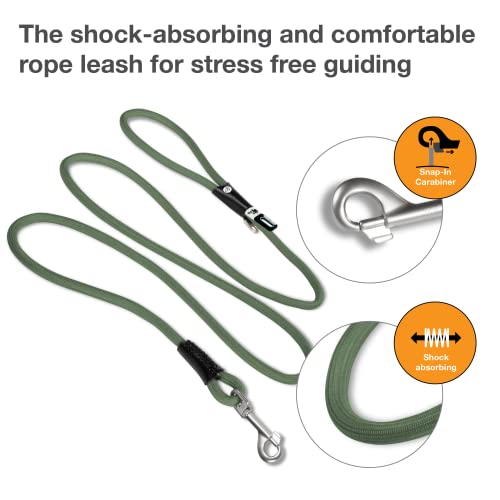 Curli Stretch Comfort Dog Leash - Moss Green - Large - 72 Inch
