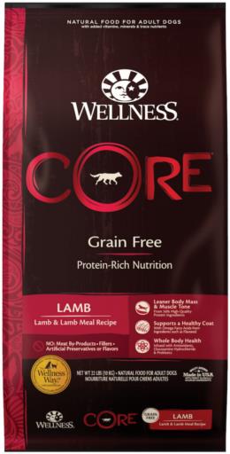 Wellness Core Natural Grain-Free Lamb Dry Dog Food - 22 Lbs  