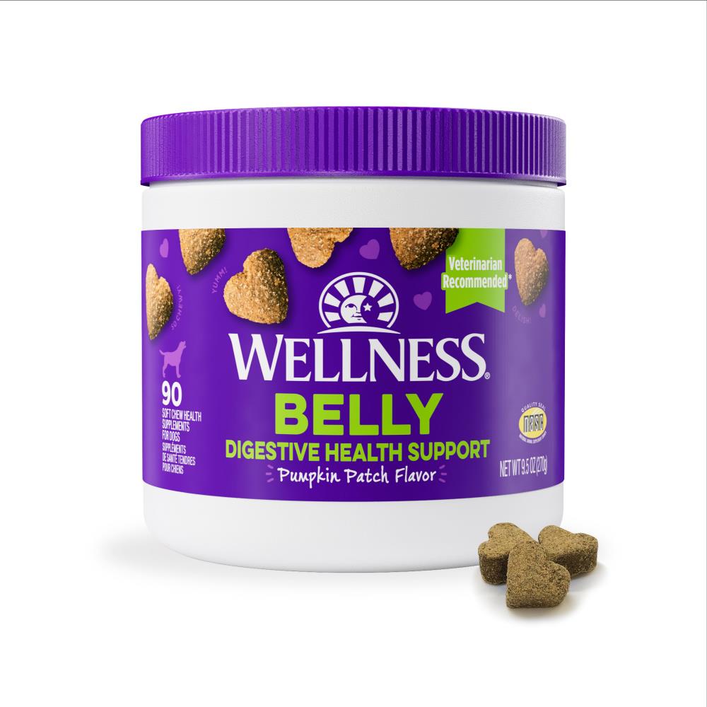 Wellness Belly Digestive Health Support Pumpkin Patch Flavor Soft Chew Dog Supplements - 45 Count  