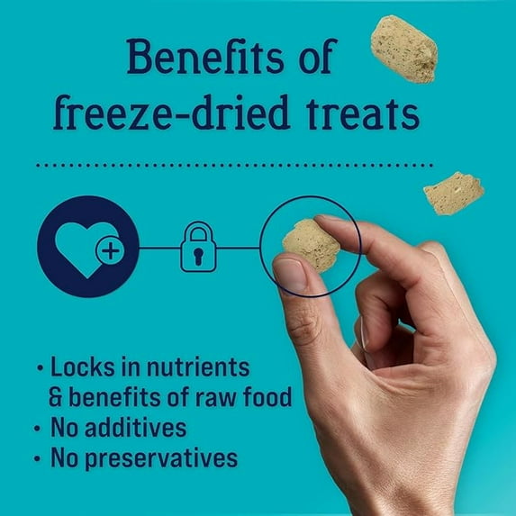 Stewart Puff Tops Bacon and Cheese Recipe Freeze-Dried Dog Food Topper