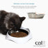 Catit PIXI Feeding Dish Pet Food Bowl with Removable Stainless Steel Bowl - White