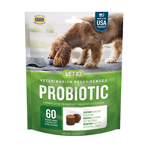 VETIQ Digestive Support Hickory Smoke Flavored Soft Chew Dog Supplements - 60 Count