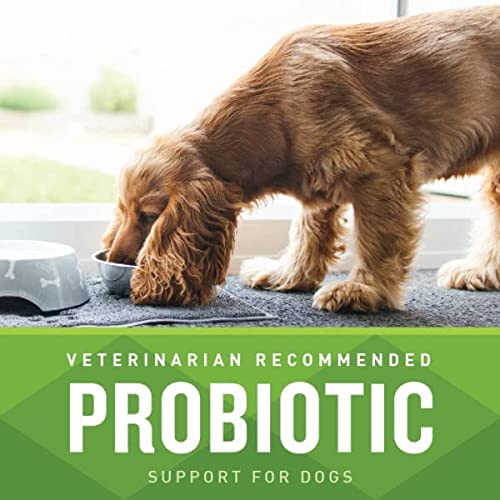 VETIQ Digestive Support Hickory Smoke Flavored Soft Chew Dog Supplements - 60 Count