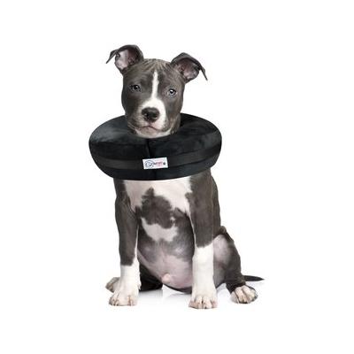 Arlee Comfurt Recovery Dog Collar - Black - Large