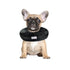 Arlee Comfurt Recovery Dog Collar - Black - Small