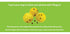 Flingerz Balls Compatible with Fling and Fetch Launcher Dog Toy - Yellow - 2 Pack     