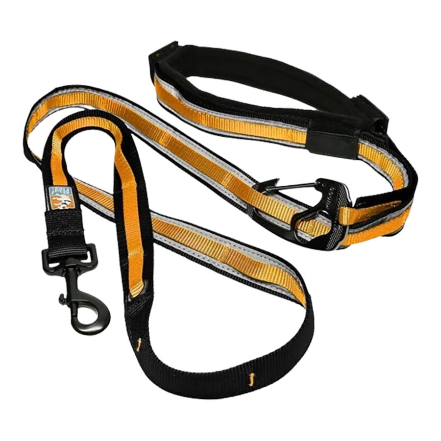 Kurgo Quantum 6-in-1 Padded Reflective and Hands-Free Waist Dog Leash