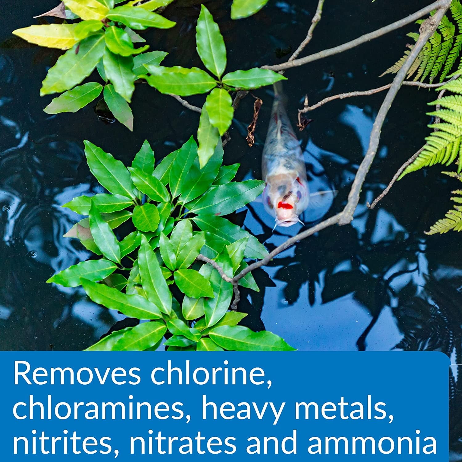 API Aqua Essential Pond Water Conditioner
