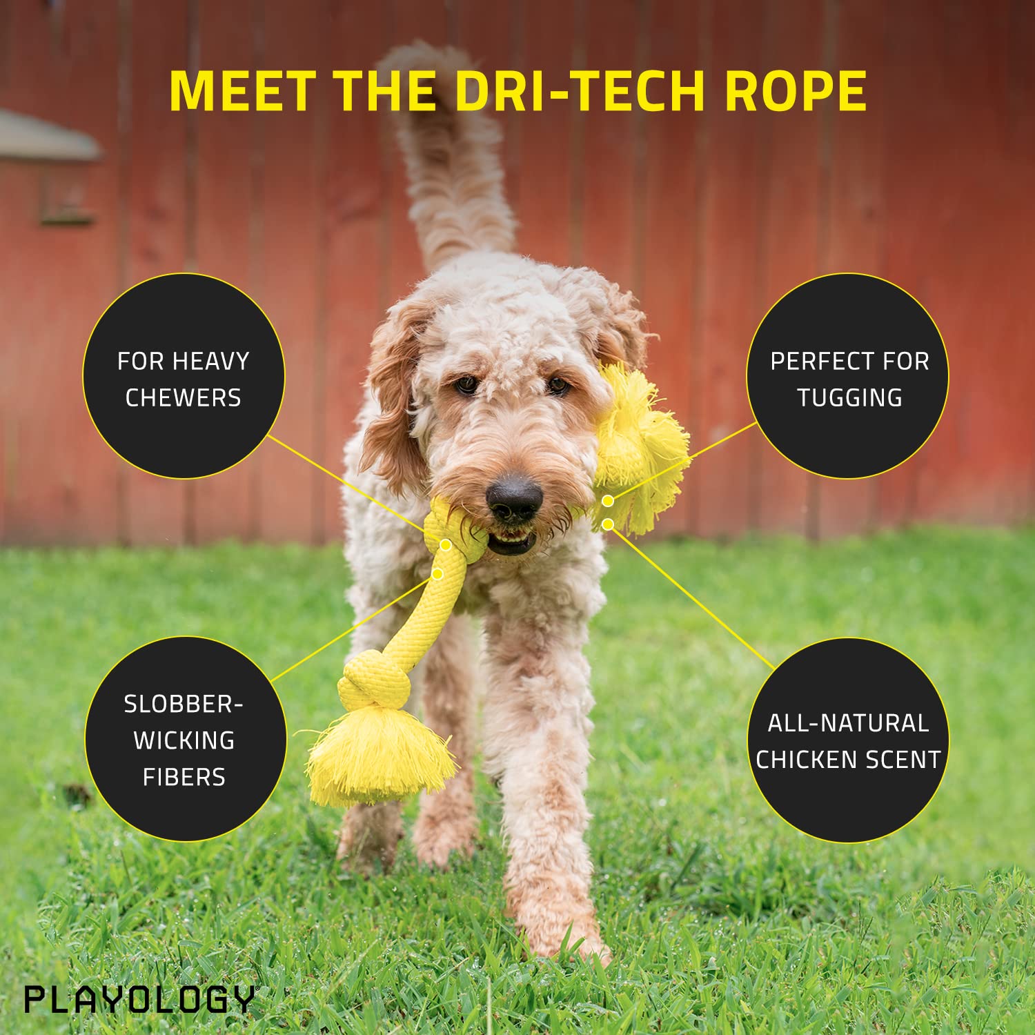 Playology Chicken Scented Dri-Tech Rope Dog Toy with Encapsiscent Technology - Small  