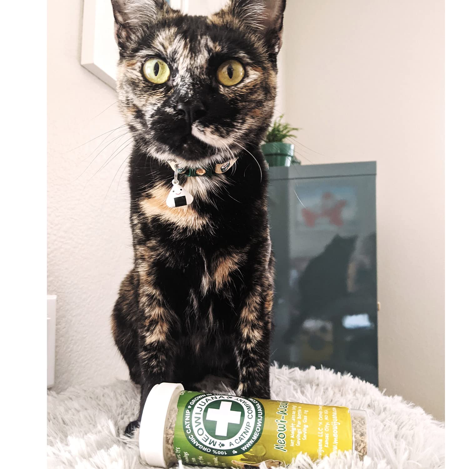 Meowijuana BirthJay Party Sized Catnip Joints Cat Treats - 6 Count  