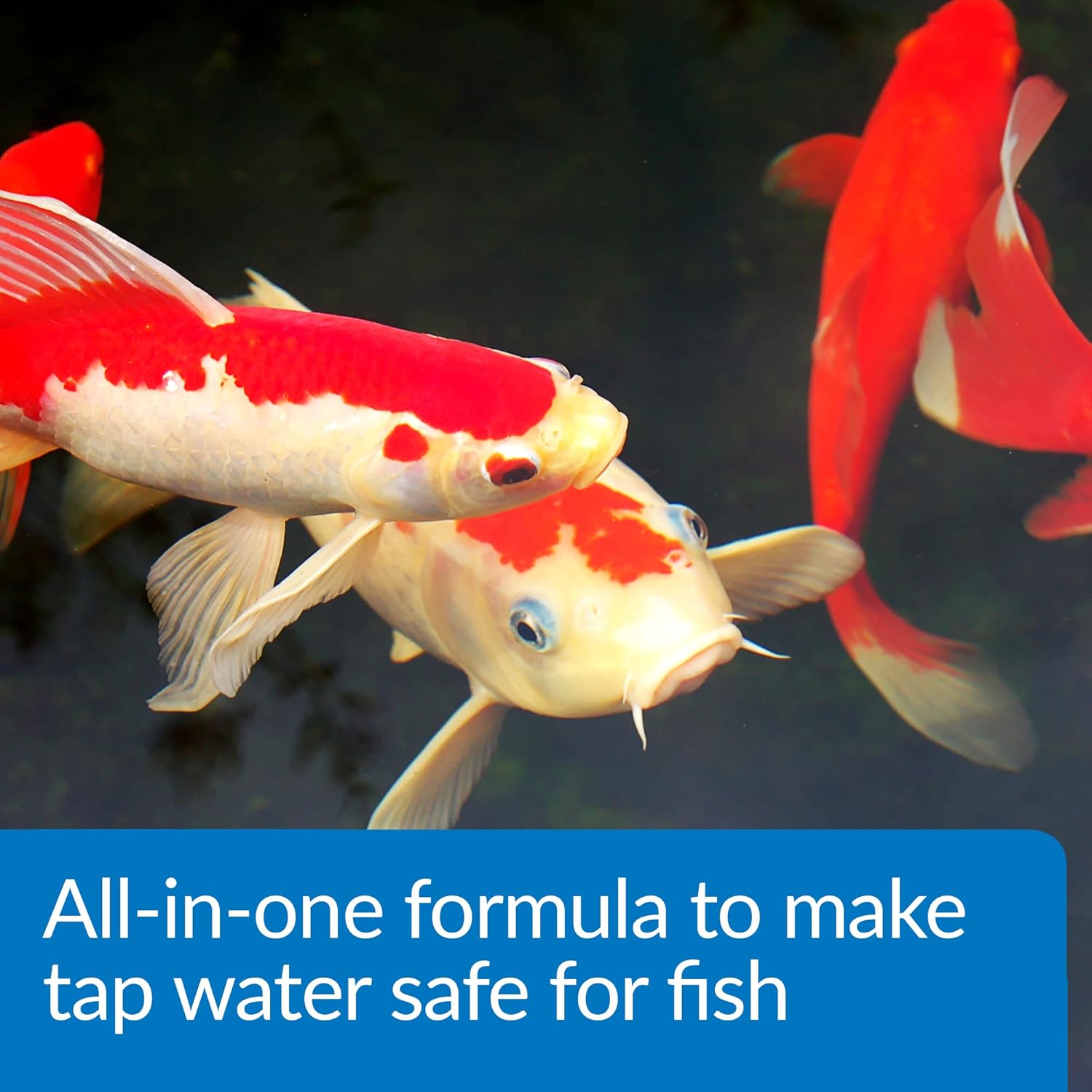 API Aqua Essential Pond Water Conditioner