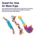 Petstages Orka Dental Pack Chew Puppy Dog Toys - Mini - 3 Pack  