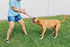 Jolly Pets Animal Flatheads Cow Stuffing-Free Squeak and Rope Tug Dog Toy - Small