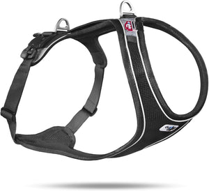 Curli Belka Magnet Dog Harness - Black - Large