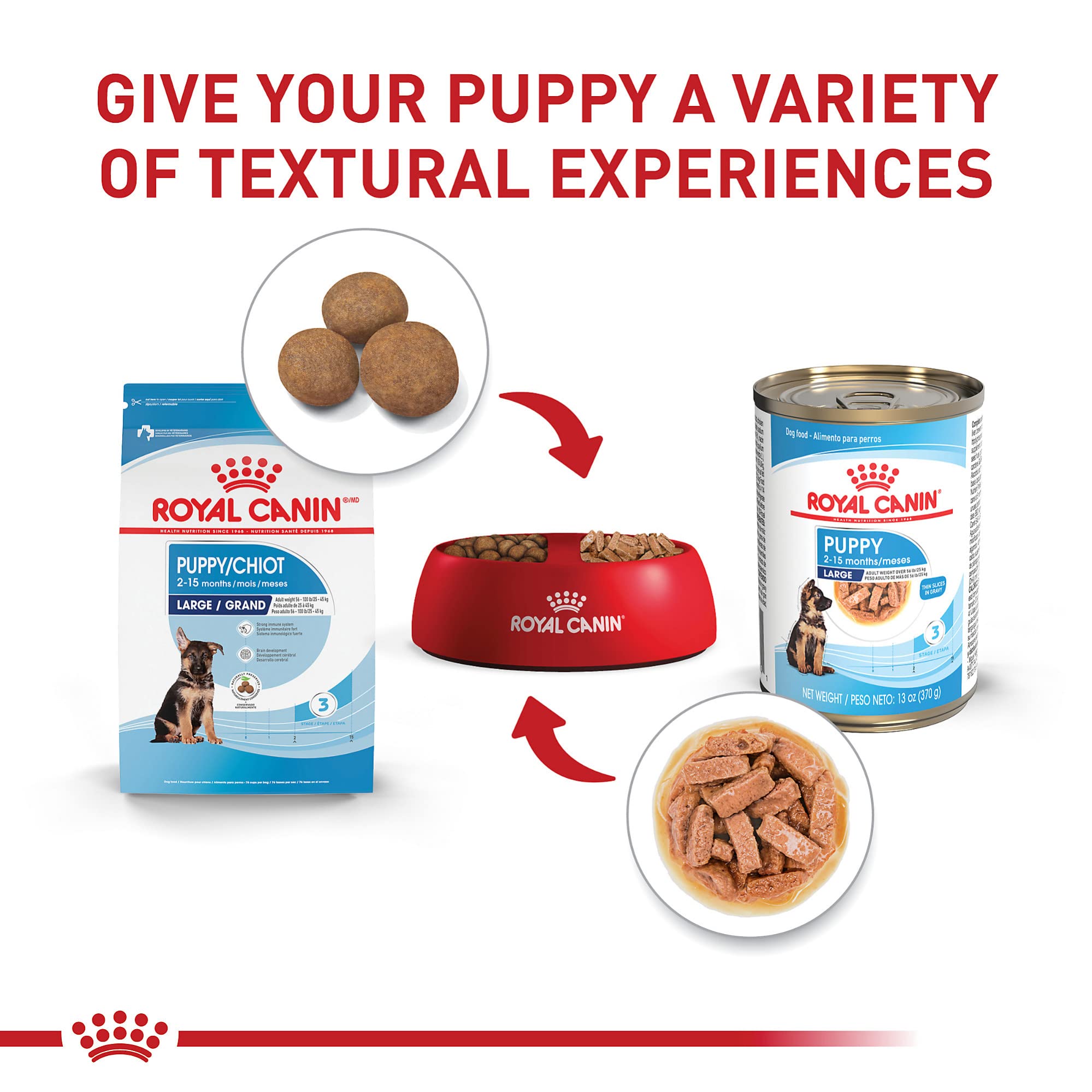 Royal Canin Size Health Nutrition Thin Slices in Gravy Large-Breed Puppy Wet Dog Food - 13 Oz - Case of 6  