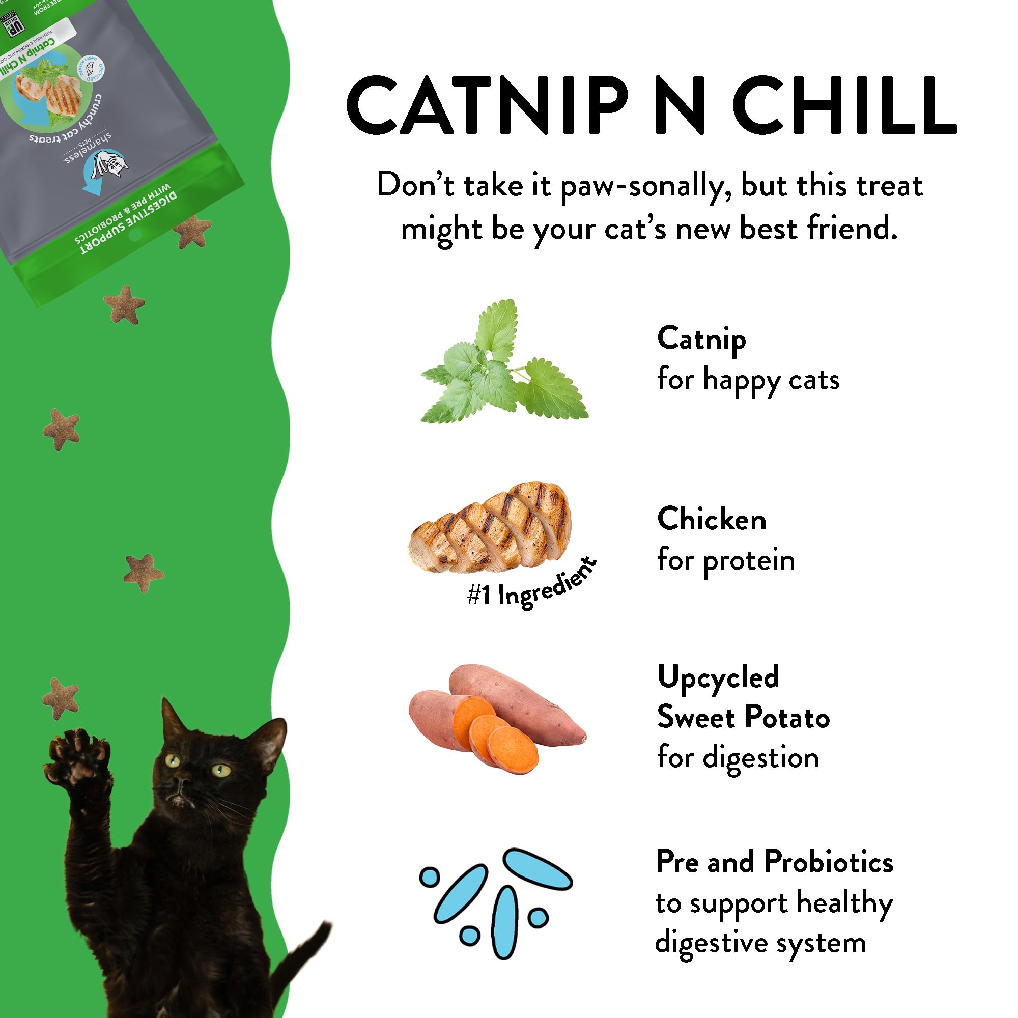 Shameless Pets Catnip N' Chill with Chicken Crunchy Cat Treats - 2.5 Oz - Case of 12  