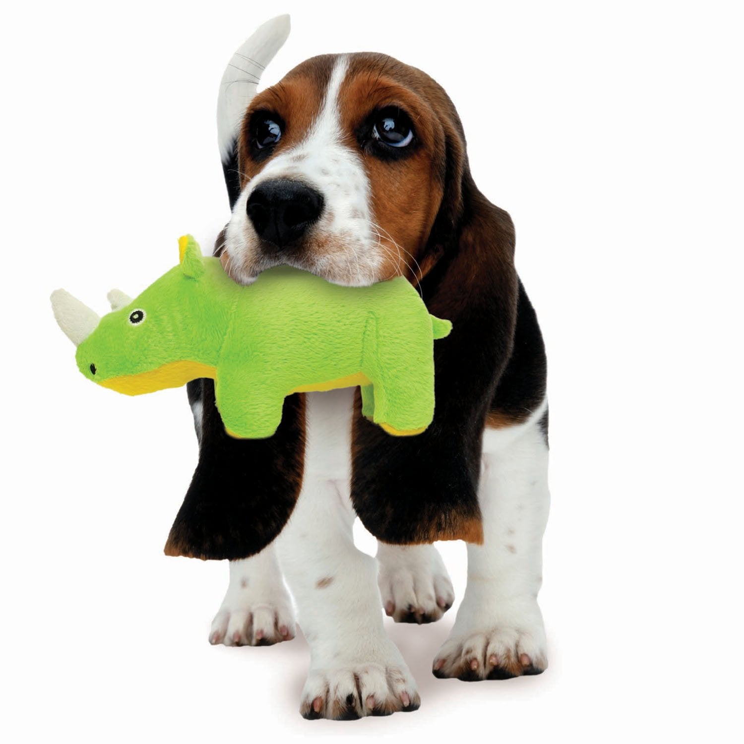 Mighty Junior Safari Rhino Squeak and Plush Floating Dog Toy - Green - Large  