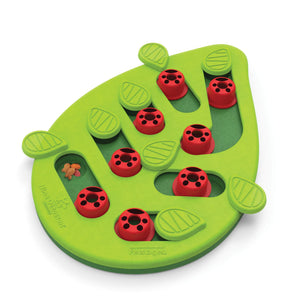 Petstages Buggin' Out Treat Dispensing Interactive Puzzle and Feeding Cat Toy