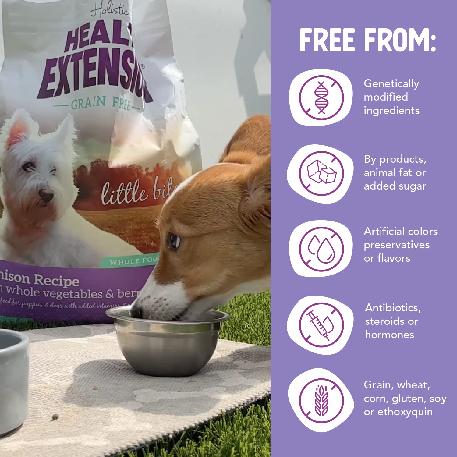 Health Extension Grain-Free Little Bites Venison Vegetables and Berries Dry Dog Food - 3.5 Lbs  