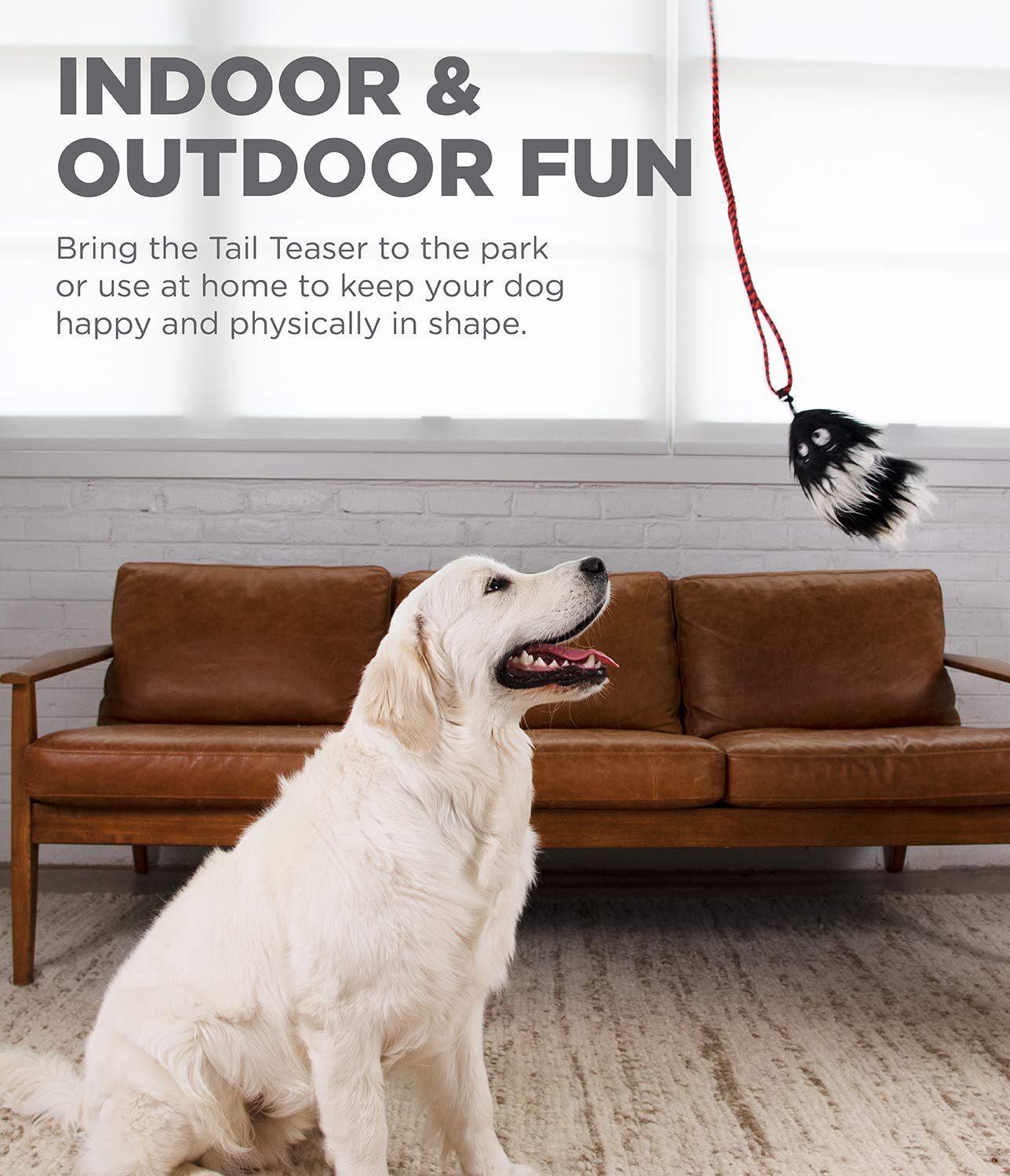 Outward Hound Tail Teaser with Refillable Catnip Cat Toy - Black  