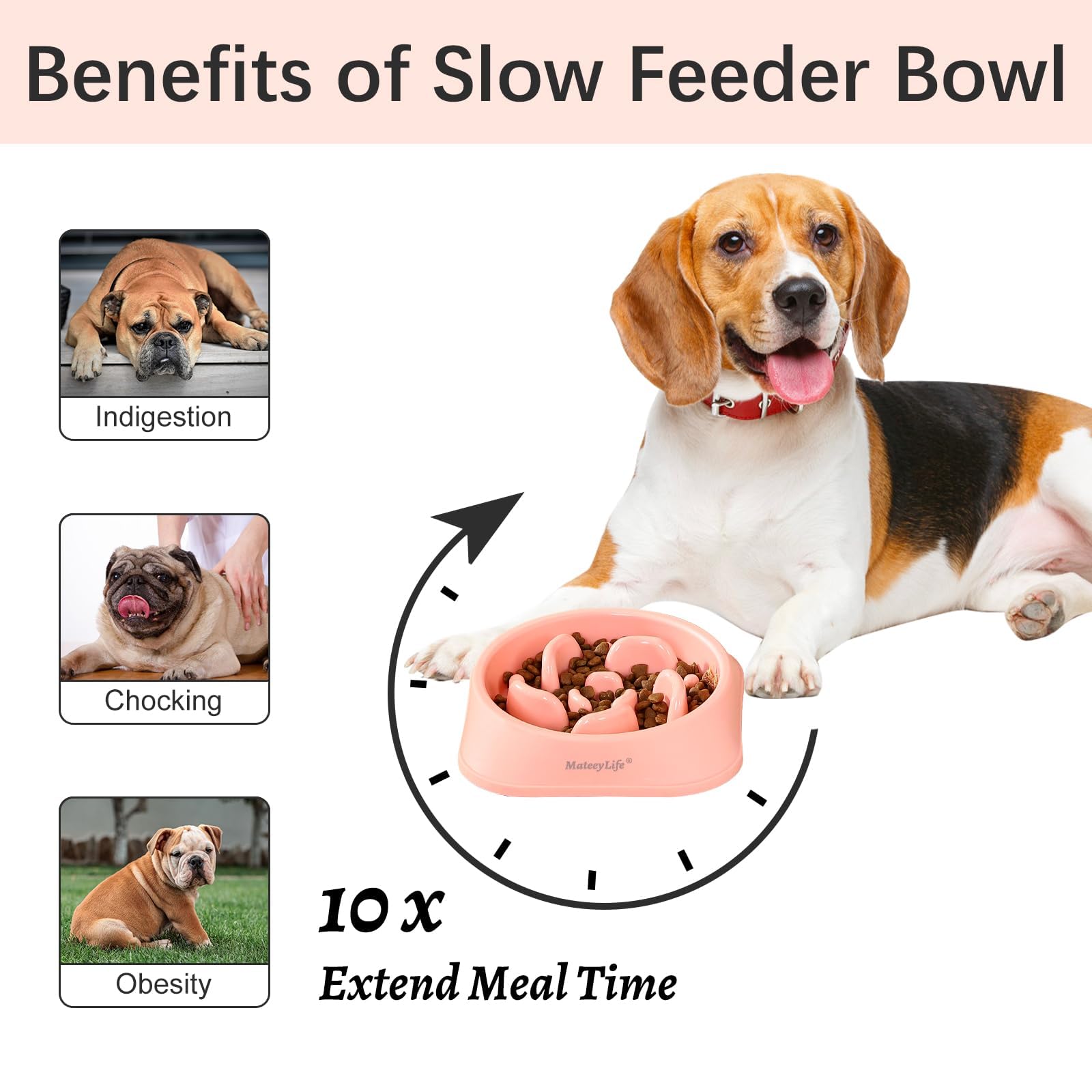 Innovative Pet SloDog Slow Feeding Dog Bowl - Pink  