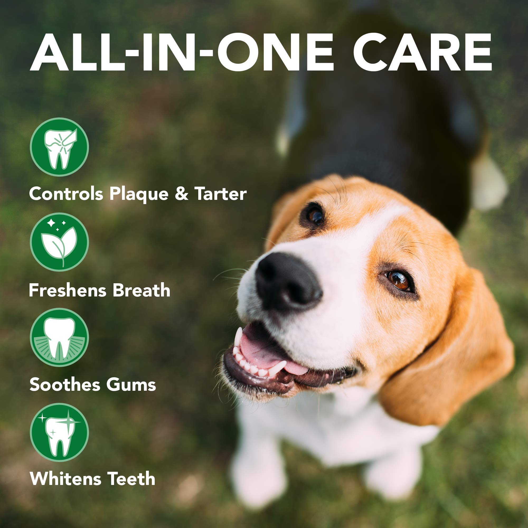 Vet's Best Enzymatic Gel Toothpaste and Toothbrush Dental Care Kit - 3.5 Oz  