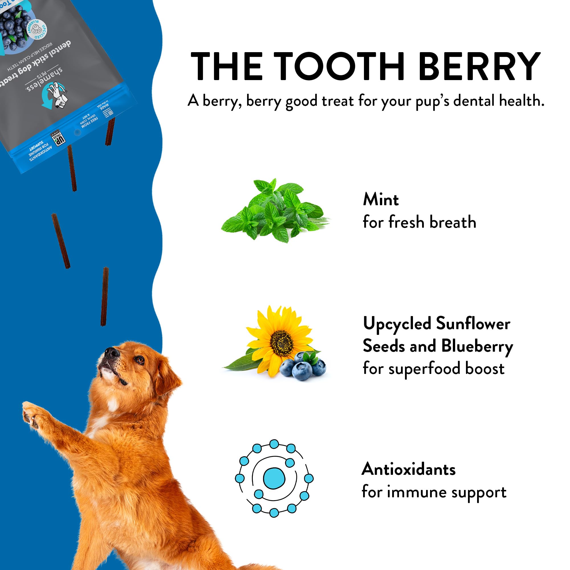 Shameless Pets The Tooth Berry Blueberry and Mint Flavored Sticks Dental Dog Treats - 7.2 Oz - Case of 6  