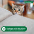 Elanco Advantage Carpet and Opholstrey Flea and Tick Household Spot Spray - 16 Oz