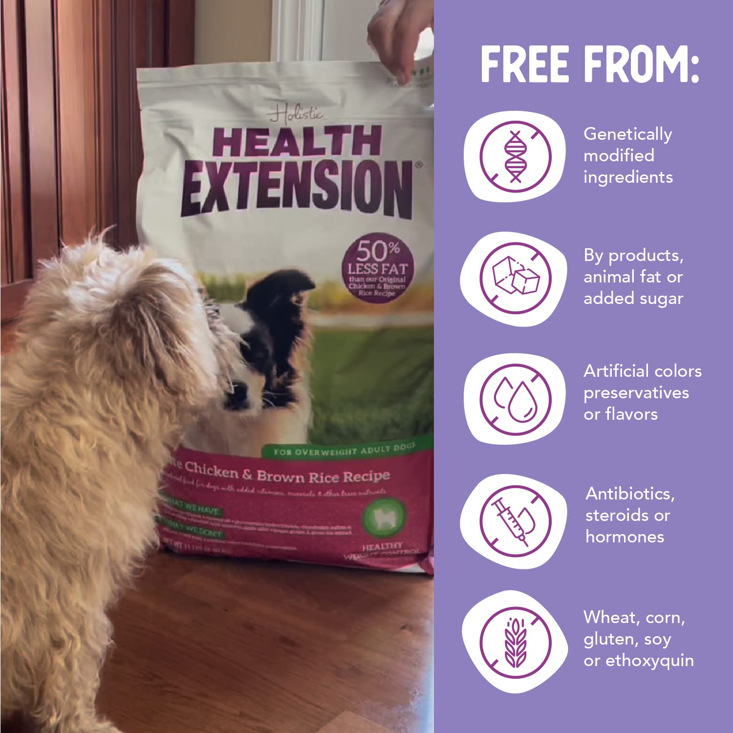 Health Extension Original Chicken and Brown Rice Weight Management Dry Dog Food - 15 Lbs  