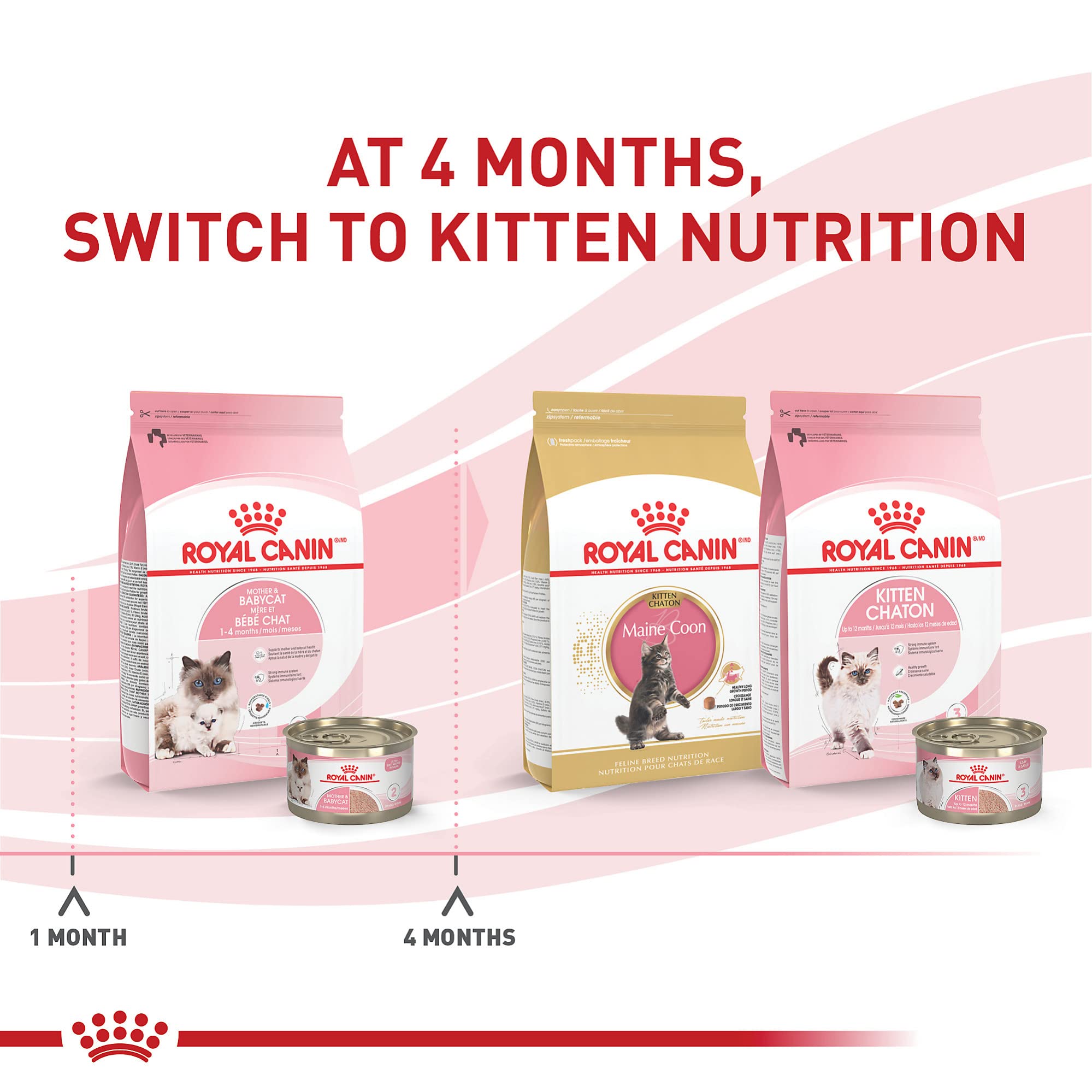 Royal Canin Feline Health Nutrition Mother and Baby Kitten Formula Dry Cat Food - 3 Lbs  