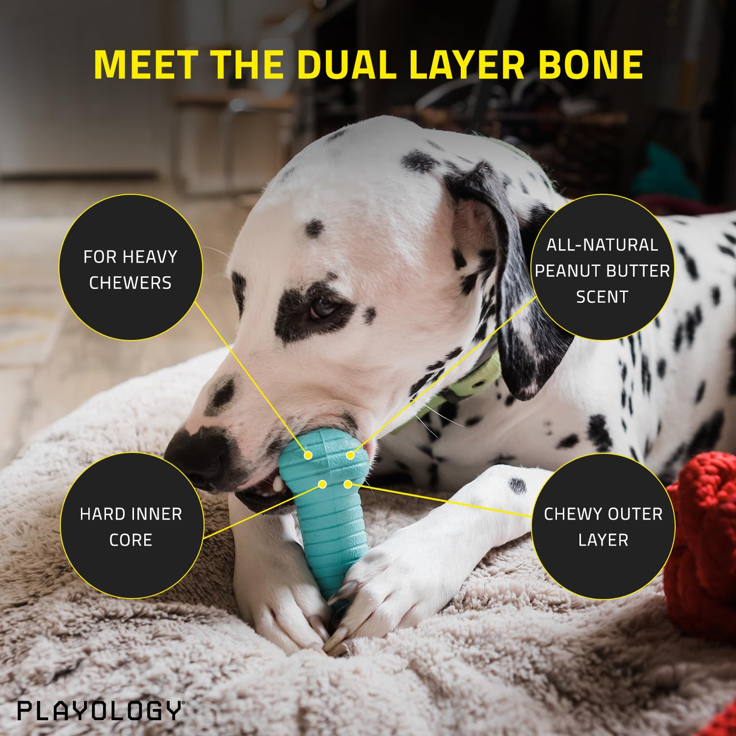 Playology Peanut Butter Scented Dual Layered Bone Rubber Dog Toy with Encapsiscent Technology - Small  