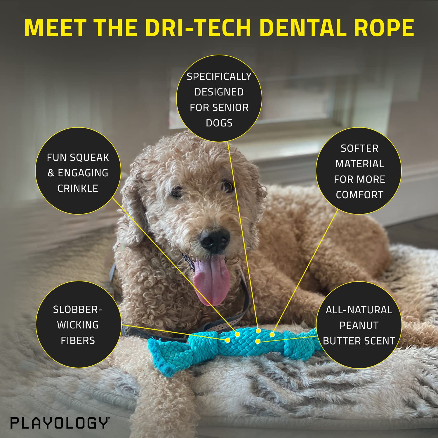 Playology Peanut Butter Scented Dri-Tech Dental Rope Dog Toy with Encapsiscent Technology - Large  