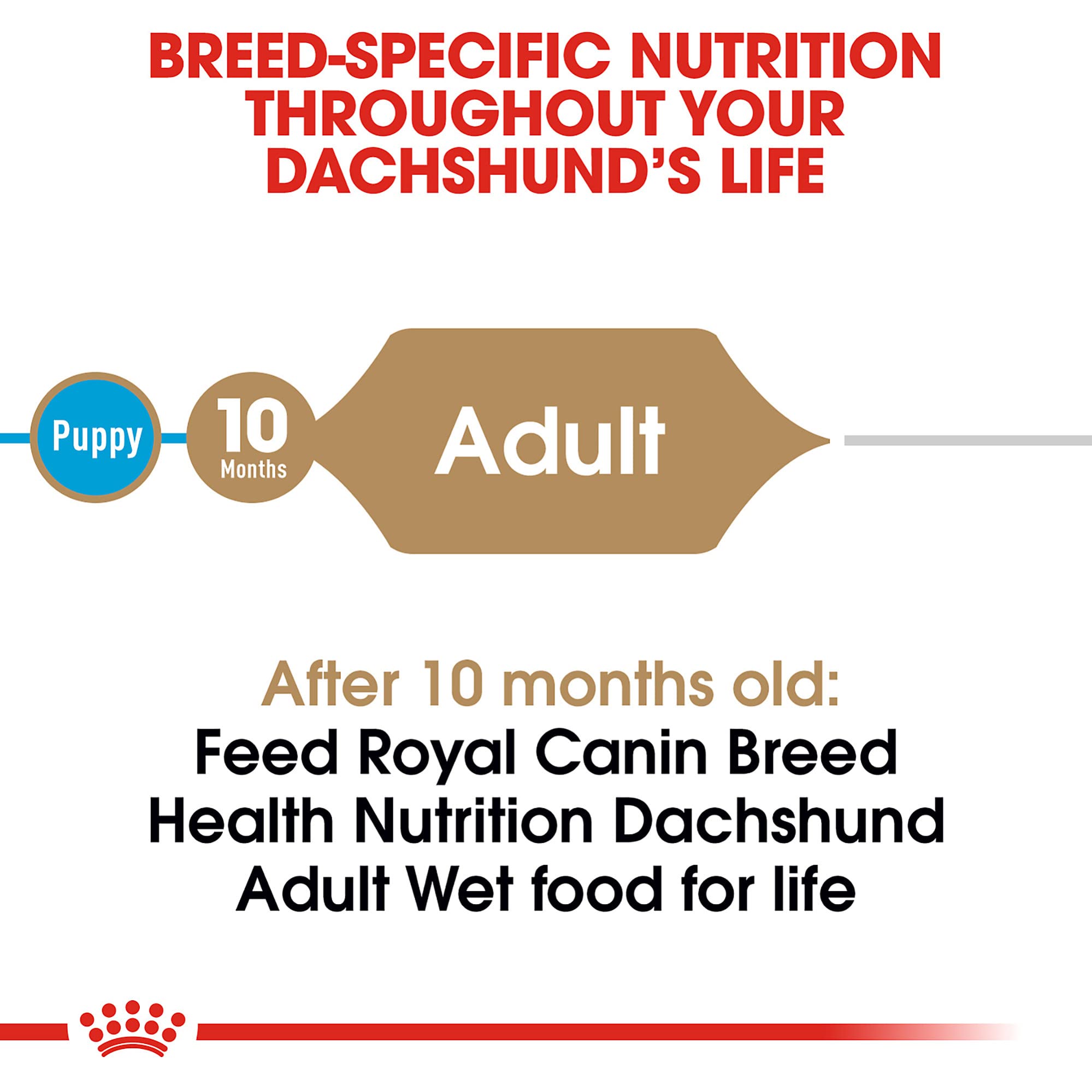 Royal Canin Breed Health Nutrition Loaf in Sauce Dachshund Formula Canned Dog Food - 3 Oz - Case of 4 - 12 Pack  