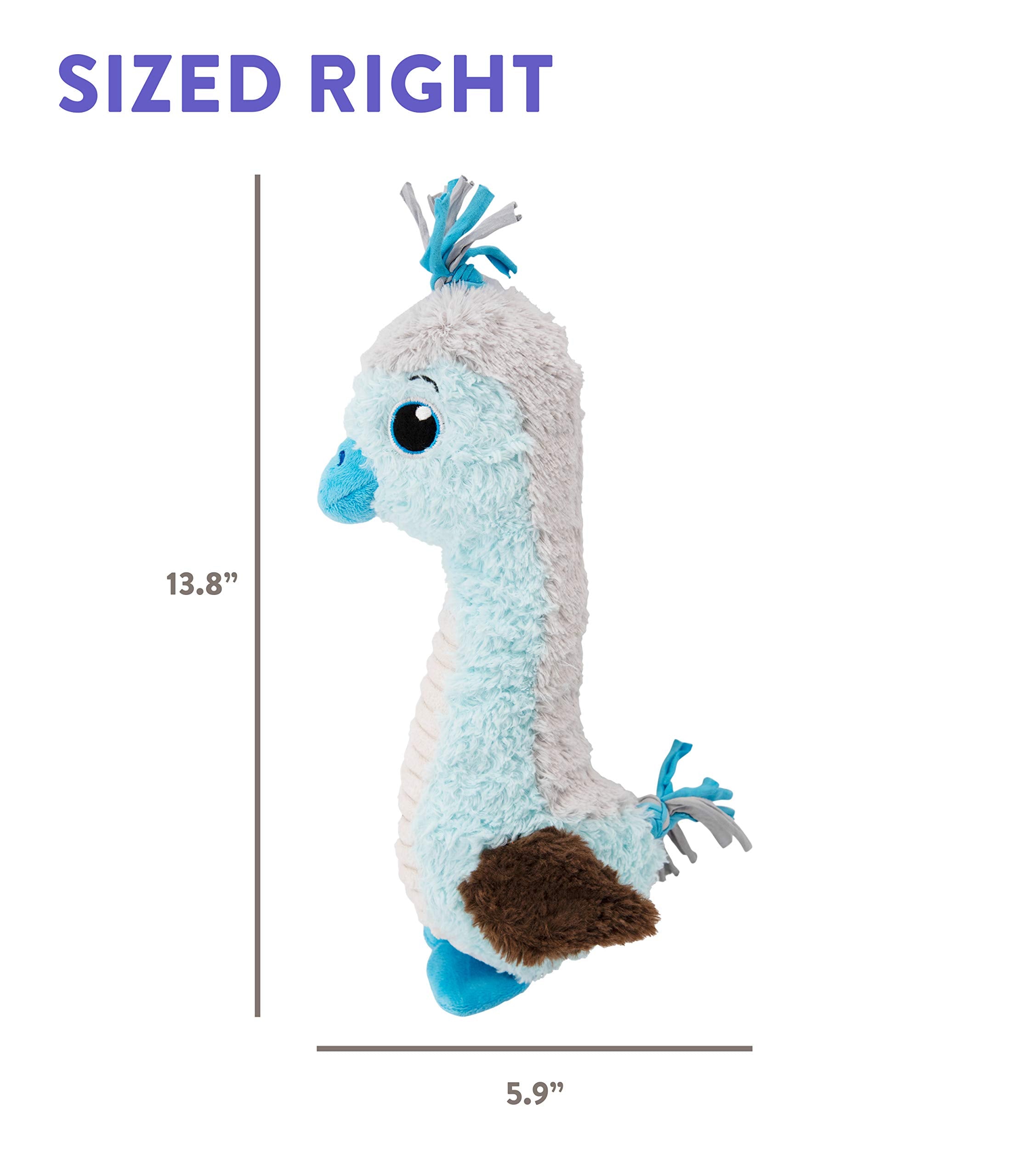 Outward Hound Absurd Burds Blue Footed Booby Durable Squeak and Plush Dog Toy  