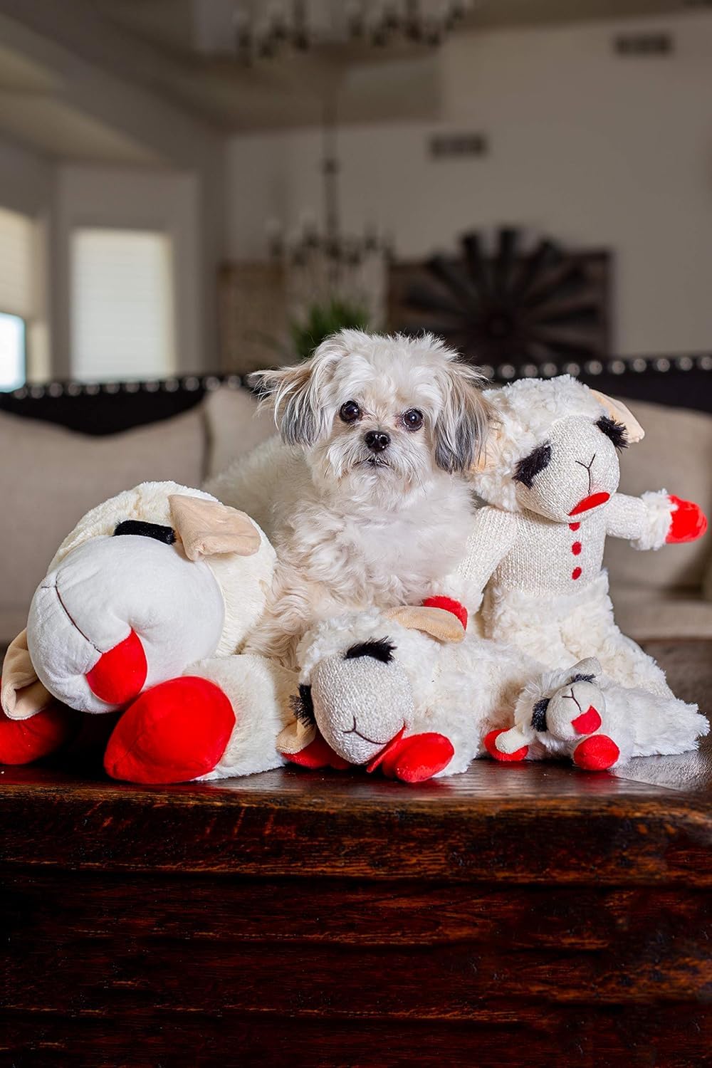 Multipet Lamb Chop Squeaky Plush Dog Toy - 10" Inches  