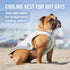 Canada Pooch Chill Seaker Cooling Dog Vest