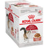 Royal Canin Feline Health Nutrition Instinctive Chunks in Gravy Wet Cat Food Pouch - 3 Oz - Case of 12  