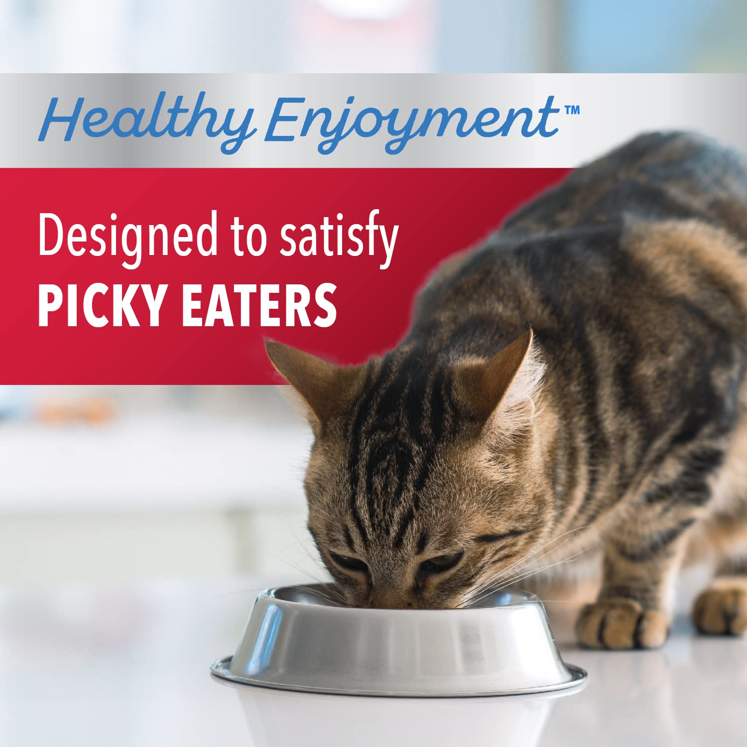 IAMS Healthy Enjoyment Chicken and Beef Dry Cat Food - 6 Lbs  