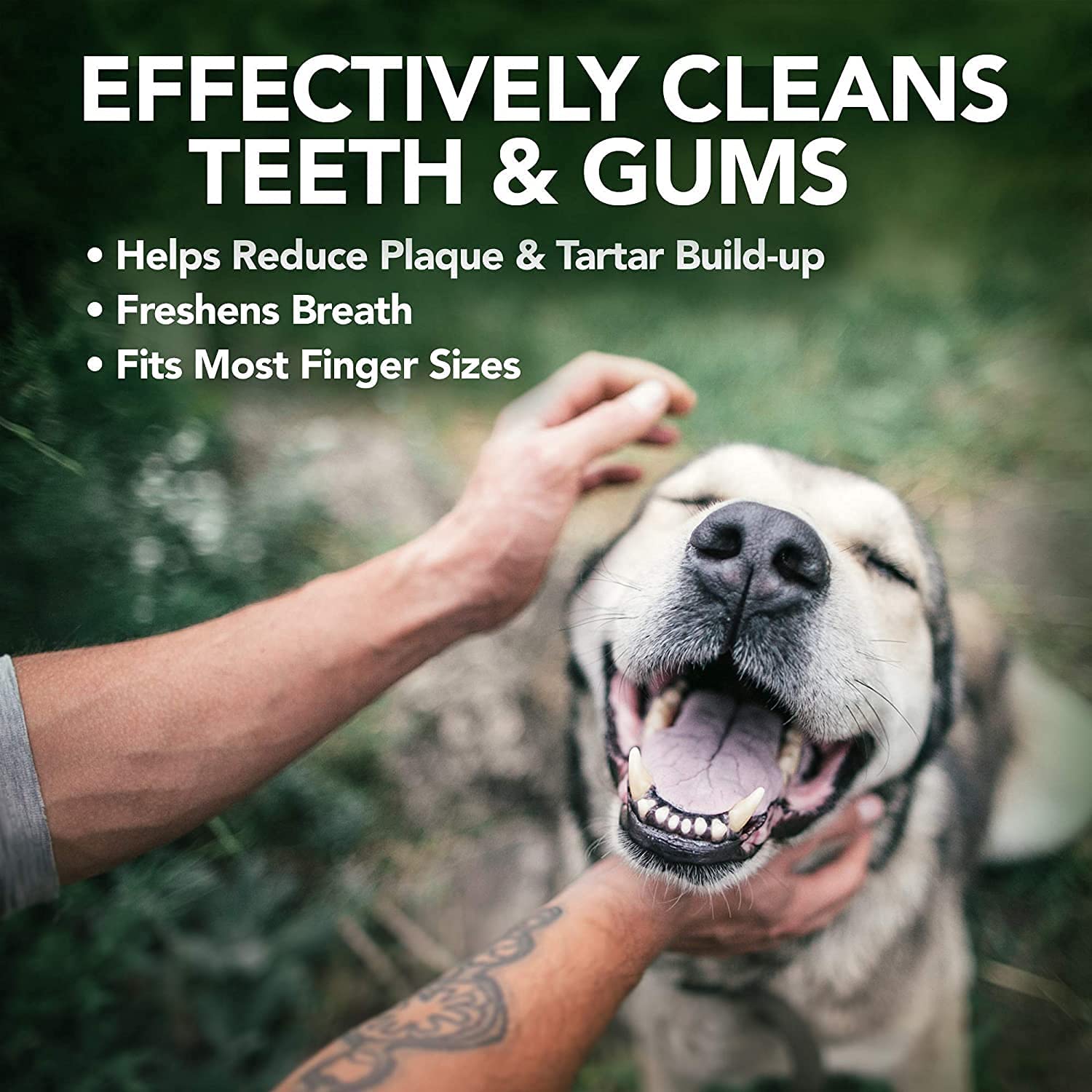 Vet's Best Dental Care Teeth Cleaning Finger Wipes for Dogs and Cats - 50 Count  