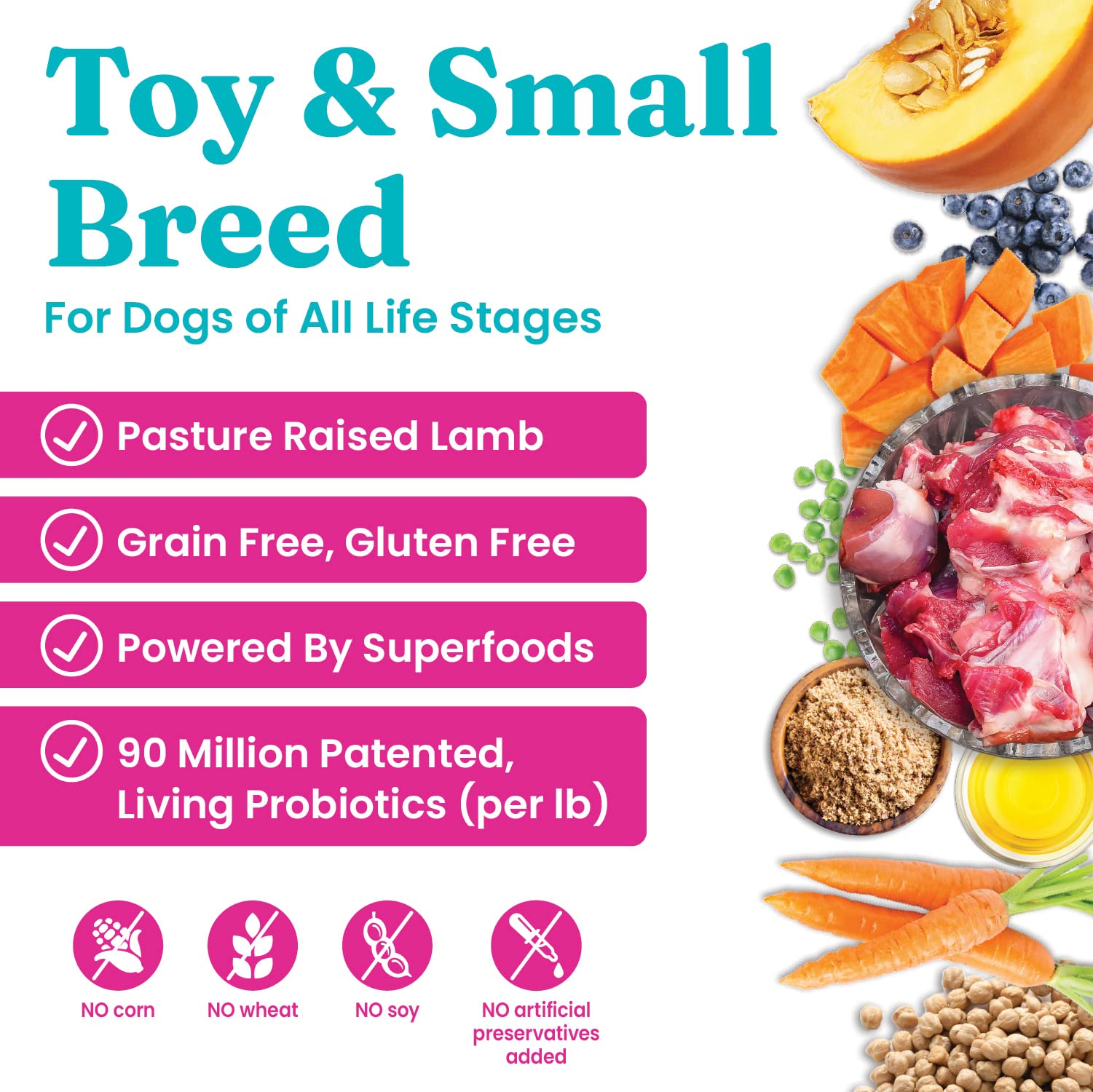 Solid Gold Mighty Mini Grain-Free Chicken Chickpea and Pumpkin Toy and Small-Breed Dry Dog Food - 4 Lbs  