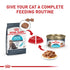 Royal Canin Feline Care Nutrition Urinary Care Thin Slices in Gravy Canned Cat Food - 3 Oz - Case of 12  