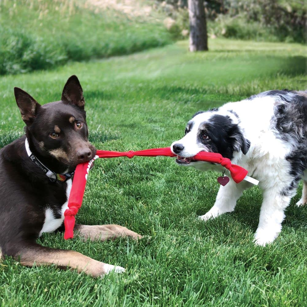 Kong Signature Crunch Sounding Triple Rope Dog Toy - Large  