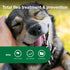 Elanco Advantage II Medium Dog 6-Month Dose Flea and Tick Spot-on Treatment - 11-20 Lbs - Teal -  6 Pack