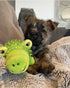 Spunky Pup Lil' Squeakers Dinosaur in Clear Spikey Ball Squeak and Plush Dog Toy  