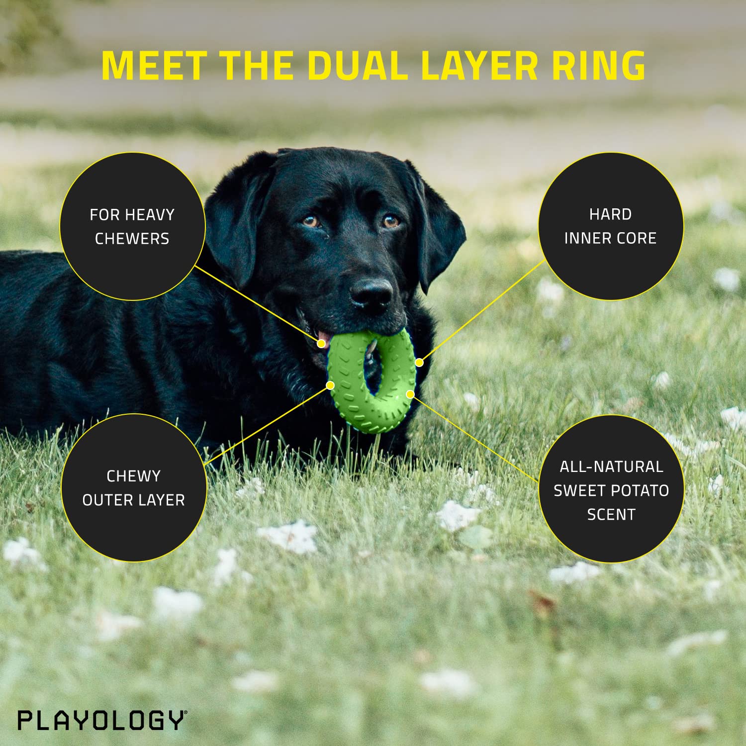 Playology Beef Scented Dual Layered Ring Rubber Dog Toy with Encapsiscent Techology - Small  