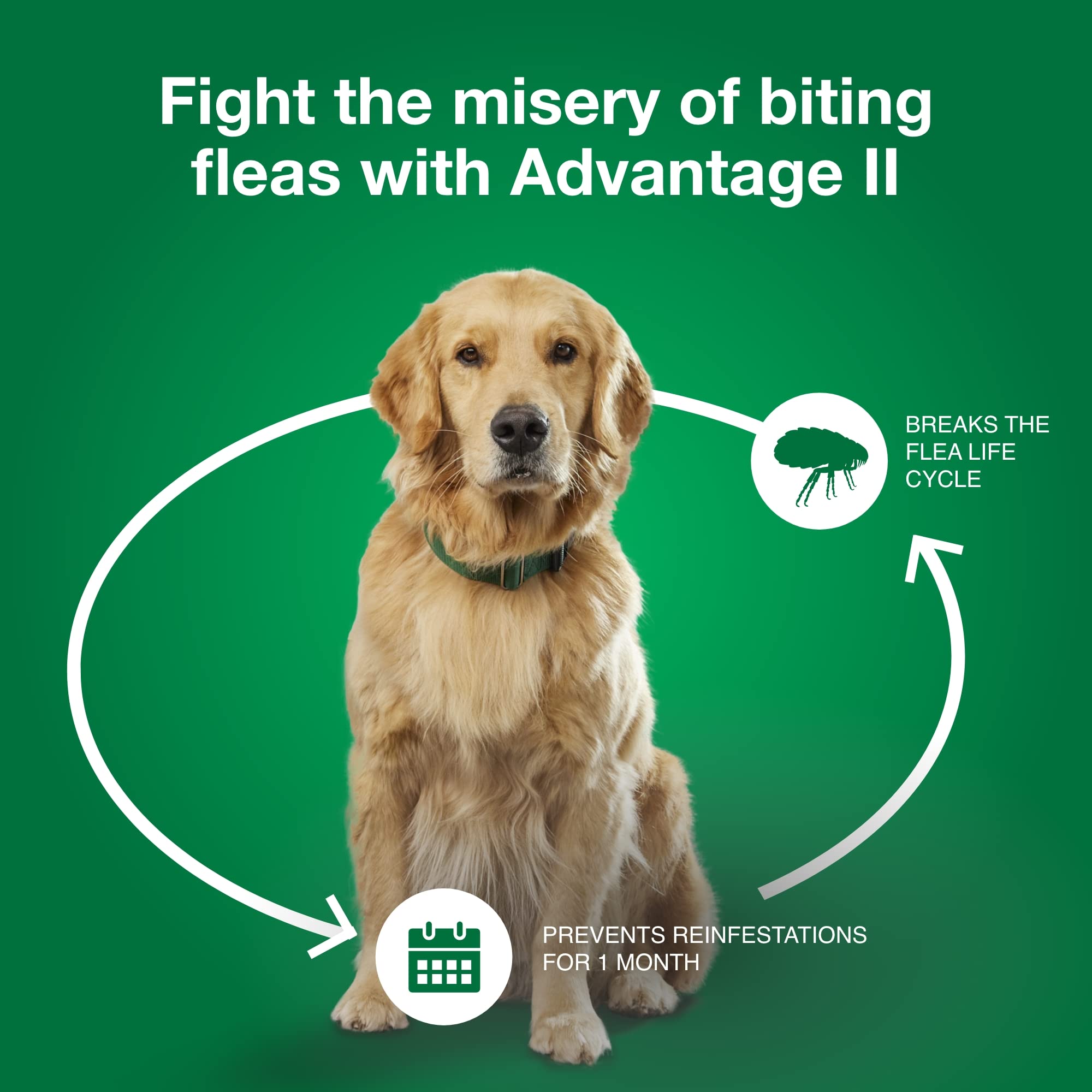 Elanco Advantage II Medium Dog 6-Month Dose Flea and Tick Spot-on Treatment - 11-20 Lbs - Teal -  6 Pack