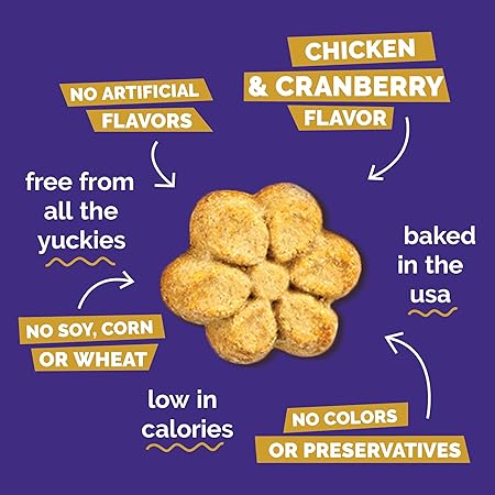 Fruitables Baked Chicken Cranberry and Pumpkin Soft and Chewy Dog Treats - 12 Oz